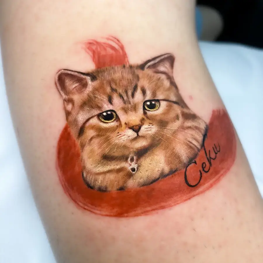 Cat realism tattoo — SameDayTattoo Istanbul