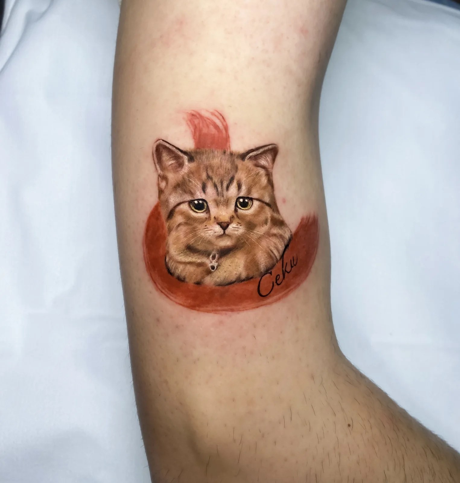 Cat realism tattoo — SameDayTattoo Istanbul