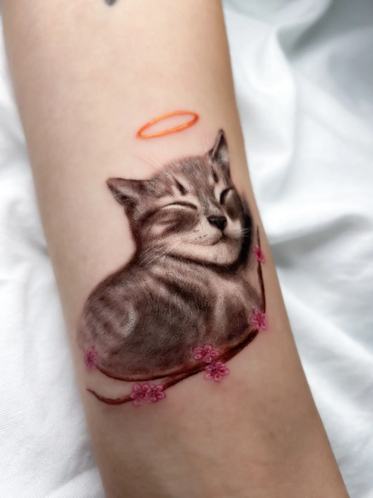 Cat realism tattoo — SameDayTattoo Istanbul